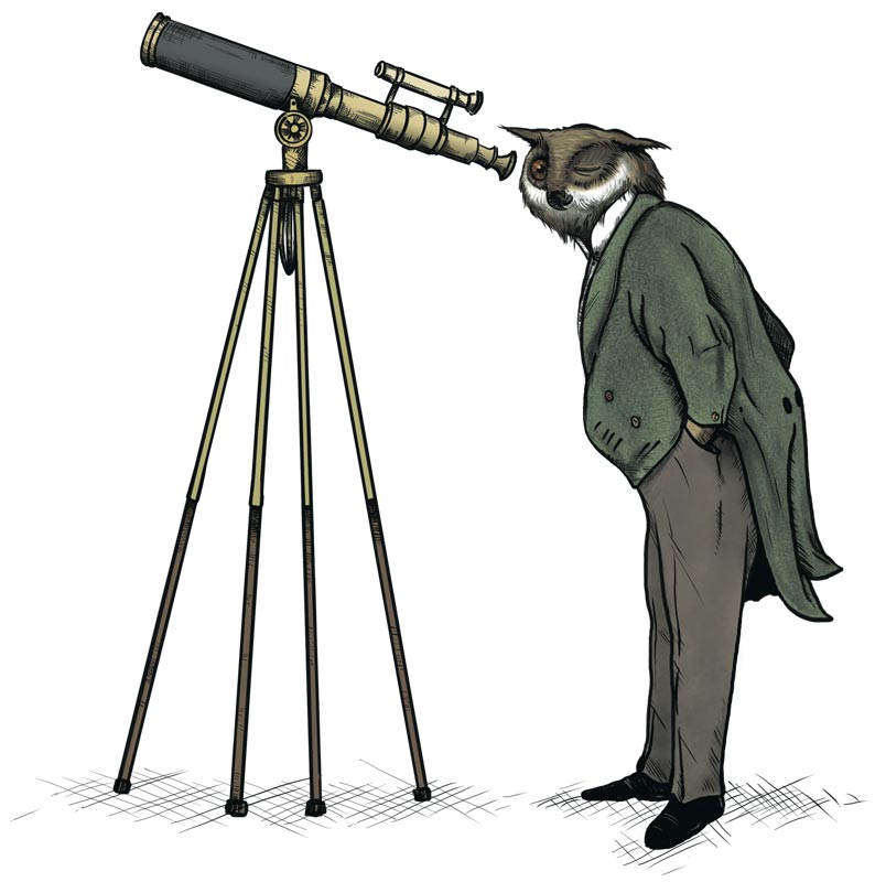 Owl With Telescope Coloured