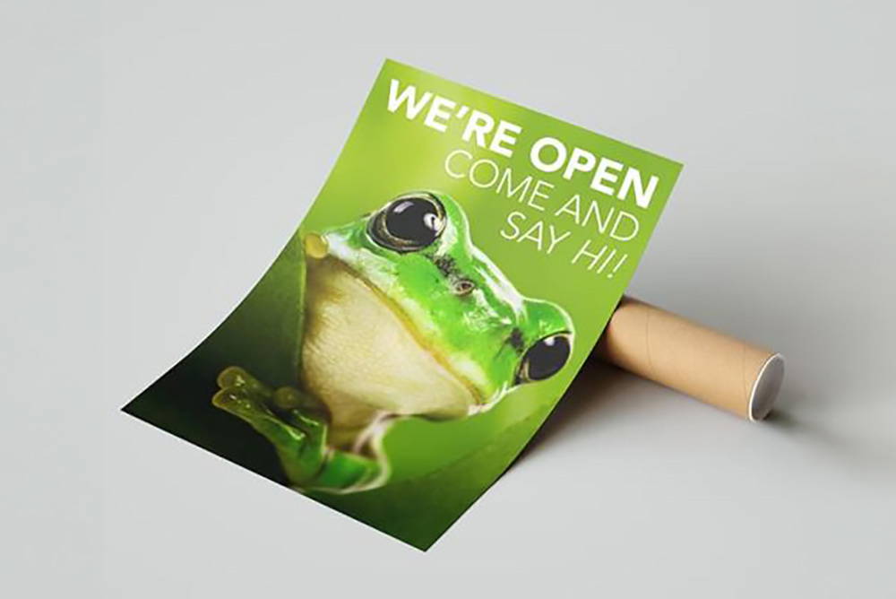 custom A2 poster print of a green open sign with frog photo design and poster tube for free delivery and packaging large format printing